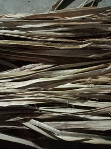 Fil de jute 100% naturel, matière première écologique, marque HNIECO, pour la couture, origine Vietnam, couleur jute naturelle, corde de sisal - Product Image 4