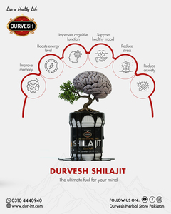 Shilajit del Himalaya Puro, Natural y Original de Primera Calidad, Calidad de Exportación Premium, Apoya el Sistema Inmunológico, Minerales Naturales, 100% Orgánico - Product Image 3