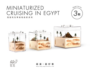 มด3D สไตล์โมเดิร์นแบบเอ็มไพร์ปูนปลาสเตอร์สำหรับห้องนั่งเล่น - Product Image 3