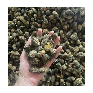 Melón Amargo Silvestre Seco Natural a Granel con 8 Meses de Vida Útil, Hierba para Beber de Vietchoice Agriculture Vietnam - Product Image 6