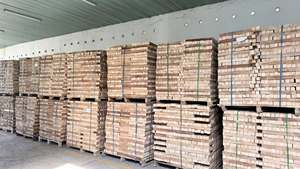 Madera de Caucho Aserrada - 100% Madera Natural Rectangular y Cuadrada para Construcción, Muebles y Embalaje - Mejor Precio Vietnam - Product Image 6