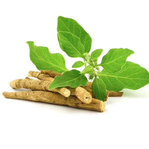 Huile de racine d'Ashwagandha de haute qualité, huile naturelle dérivée de plantes, approvisionnement en vrac pour la fabrication de cosmétiques, de parfums et de soins personnels - Product Image 5