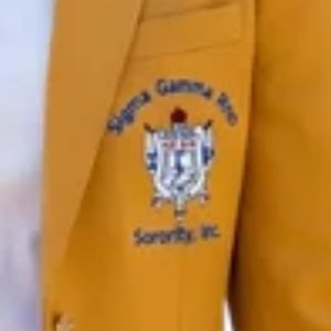 Chaqueta Deportiva Dorada para Mujer con Escudo Bordado de Sigma Gamma Rho, Chaqueta Formal de Hermandad Griega, Chaqueta de Negocios Personalizada - Product Image 6