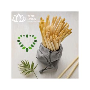 BEST SELLER Pailles en bambou écologiques |   Paille à boire réutilisable naturelle pour l'hôtellerie et la restauration - Product Image 1