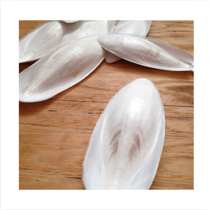 Calamar Seco Entero de Primera Calidad, 20-40cm, 0.5-2kg, Ba Ria-Vung Tau, Vietnam, Mariscos con Alto Contenido de Proteínas, Marca 99GD, Caja de 2 Unidades - Product Image 1
