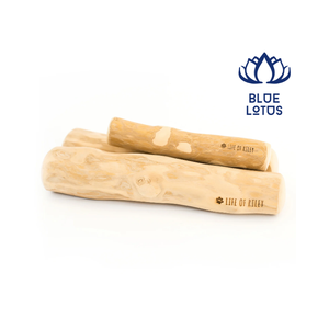 Bâtonnet à mâcher en bois de café durable de haute qualité, bleu lotus, naturel, biologique, pour soins dentaires, longue durée, pour chats et chiens d'intérieur - Product Image 1