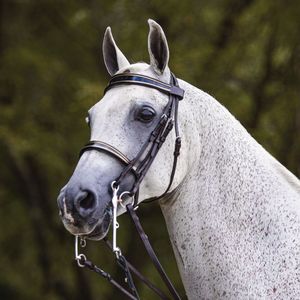 Ensemble de bridon et de mècate en cuir de qualité supérieure OEM pour l'équitation et les courses de chevaux, directement de l'usine - Product Image 1