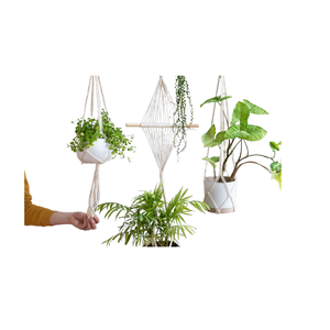 Support mural en métal de qualité supérieure pour plantes suspendues, panier de suspension intérieur/extérieur, décoration murale écologique - Product Image 3