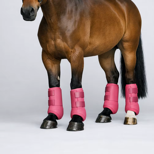 Bottes de protection équestres tendance en néoprène pour l'équitation – Respirantes, amortissantes, durables – Protection des jambes – Service OEM - Product Image 1