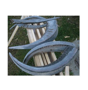 Placa de cuerno y tira larga de cuerno de búfalo de calidad de exportación, artesanía india, a bajo precio - Product Image 3