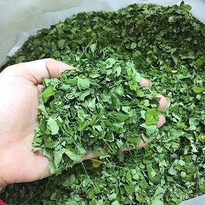 Poudre de feuilles de Moringa de haute qualité pour applications alimentaires commerciales, poudre végétale naturelle pour la distribution et l'emballage en gros - Product Image 4