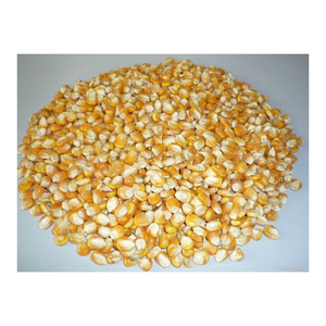 Maíz Amarillo, Maíz Amarillo Seco, Palomitas de Maíz, Maíz Blanco - Product Image 1
