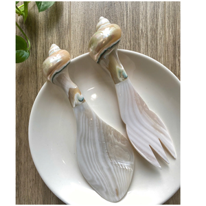 Cuillère en nacre de qualité supérieure, cuillère à caviar, cuillère pour fruits de mer, sushi, restaurant, fournisseur Vietnamien - Product Image 6