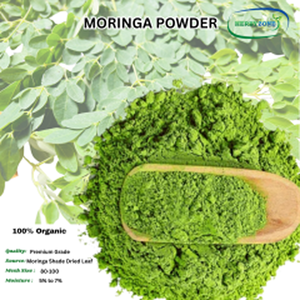 Poudre d'extrait de feuilles de Moringa pure et naturelle 500 g – Extrait végétal de qualité alimentaire en vrac pour la vente en gros - Product Image 4