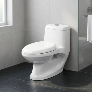 WC monobloc allongé à siphon avec abattant et accessoires, ensemble de sanitaires en céramique - Product Image 1