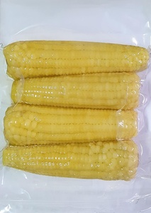 ข้าวโพดหวานแช่แข็ง IQF คุณภาพพรีเมียม ต้มสุก สำหรับขายส่งและธุรกิจบริการอาหาร ขายดี - Product Image 5