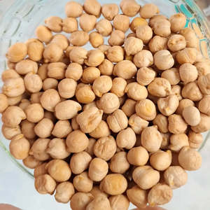 Granos Enriquecidos de Alta Calidad al Por Mayor, Garbanzos Secos de Primera Calidad, Precio al Por Mayor Disponible - Product Image 1