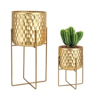 กระถางแขวนผนังทรงกลมสีทองหรูหรา ตกแต่งผนังด้วยดอกไม้ ชุดกระถางปลูกต้นไม้ตกแต่งบ้าน ชุด 2 ชิ้น - Product Image 6