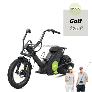 <span class=keywords><strong>Motos</strong></span> électriques de longue portée de <span class=keywords><strong>motos</strong></span> de sport à deux roues pour adultes de 60V avec de gros pneus pour le golf - Product Image 1