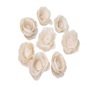 ดอกคาเมเลียโซล่าทำมือแบบขายส่งที่เป็นมิตรกับสิ่งแวดล้อมสำหรับตกแต่งงานฮาโลวีน งานรับปริญญา คริสต์มาส งาน DIY และงานโรแมนติกในเดือนมีนาคม 2026 - Product Image 1