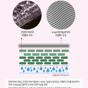 Crème coréenne avec céramide et niacinamide 50ml Amplen Ceramide Shot Face Lotion K-Beauty K-Beauty - Product Image 5