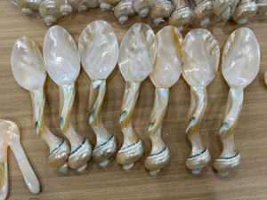 Cuillère en coquillage, objet décoratif de forme naturelle pour l'aménagement intérieur, la présentation en magasin et la distribution mondiale - Product Image 4