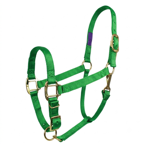 Ornements équestres : Harnais de tête en nylon de haute qualité pour chevaux, avec logo personnalisé, en sangle de nylon épaisse et durable, type anglais - Product Image 3