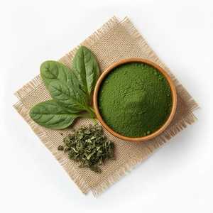 Poudre de spinaux 100% pure, moutonnée finement, poudre de feuilles vertes 100g, fabriquée au Jharkhand - Product Image 1