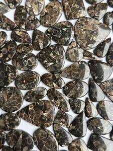 พลอยอาเกตเทอร์ริเทลล่าธรรมชาติขายส่ง |   หินอาเกตฟอสซิลแท้ |   พลอยเทอร์ริเทลลาขัดเงาแบบหยาบจากมาริยา เจมส์ - Product Image 2