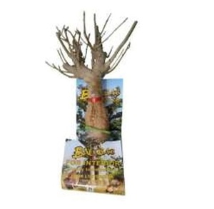 Nouvelle Tendance Décoration Réfrigérateur Maison 2026 Baobab pour Acheteurs - Fabricant Grossiste Parfait - Product Image 1