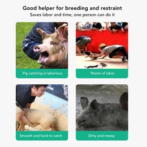 Vara de Sujeción para Cerdos de Acero Inoxidable, Herramienta de Captura de Animales para Cerdos y Perros, Equipo Agrícola - Product Image 4