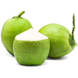 Noix de coco vertes jeunes de qualité supérieure, biologiques, fraîches, de qualité export, origine Ben Tre Vietnam, goût sucré, eau de coco en coque, vente en gros - Product Image 1