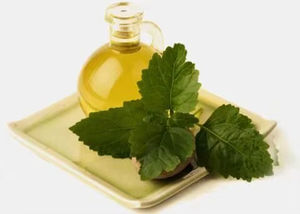 Huile essentielle de patchouli de qualité aromathérapeutique pour la relaxation et l'ancrage, diffuseur pour la peau et les cheveux, arôme terreux profond - Product Image 6