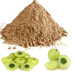 Polvo de Amla 100% Natural y Orgánico, Polvo de Grosella India para el Cuidado del Cabello, Cuidado de la Piel y Suplemento Dietético, Proveedor Mayorista - Product Image 2
