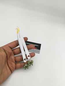 Pinzas para Pestañas al por Mayor, 45 y 90 Grados, Grabado de Corazón con Dijes de Dinero y Lazo, Pinza para Extensión de Pestañas con Punta de Oro Blanco - Product Image 6