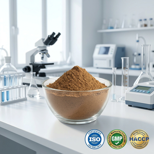 Extracto de Shatavari Premium, Extracto Natural de Raíz de Shatavari en Polvo, Extracto Puro de Shatavari, Proveedor y Exportador al por Mayor - Product Image 4