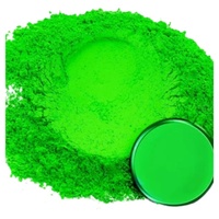 Poudre de couleur néon de haute qualité pour Thanksgiving, biodégradable, imperméable, sans danger pour la peau et les cheveux, longue durée de conservation, Nitro Seal Outdoor