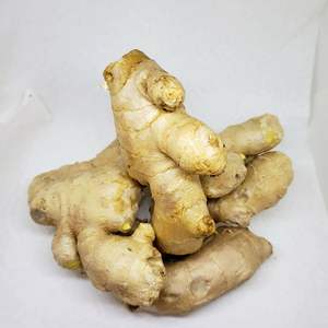 Raíces de jengibre orgánico fresco, suministro a granel, aroma intenso, alta pureza y frescura de cultivo, cuidadosamente empaquetadas - Product Image 5