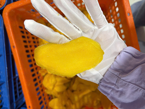 Tranches de mangue séchées extra faiblement sucrées, moelleuses et juteuses, sans gluten, sans OGM, casher, source naturelle de vitamine C, sachet refermable - Product Image 5