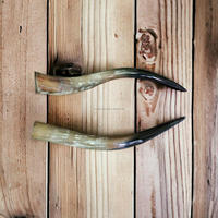 Paire de cornes de vache naturelles sculptées décoratives, 25-30 pouces, caractéristique régionale européenne, pour la décoration intérieure, cadeaux, artisanat, non polies