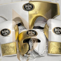 Ensemble de sparring de boxe personnalisé « No Boxing No Life » – Kit de sparring de boxe professionnel en cuir de haute qualité avec gants, protège-tête et protège-guêtres