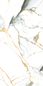 Vente directe d'usine : Carreaux de sol en granit 600x1200 mm super polis pour salon. - Product Image 2