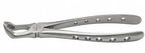 Forceps d'extraction dentaire pour molaires inférieures à surface mate, avec poignées perforées et bec dentelé, instrument chirurgical en acier inoxydable - Product Image 4