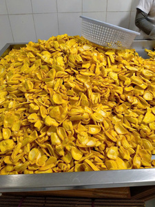 Chips de Jaca Crujientes de Alta Calidad, Snack de Fruta Seca Natural, Venta al por Mayor, Proveedor de Vietnam, Blue Lotus - Product Image 6