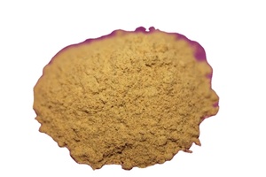 Extrait de plante Kantkari - Product Image 2