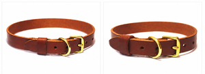 Collar de Cuero Urban Luxe para Perros, para Colecciones de Moda Moderna para Mascotas de Divine International - Product Image 3