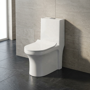 Inodoro de cerámica de una pieza, directo de fábrica, sanitario moderno con sistema sifónico, precio en India. - Product Image 6