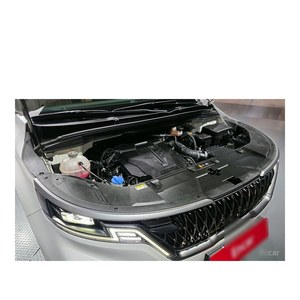 Kia Carnival Prestige 2023, SUV de Gasolina de 9 Plazas con Caja de Cambios Automática, Asientos de Cuero, Estándar de Emisiones Euro V, 51,488 km - Product Image 6