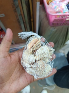 Natural Ocean Sea Shells Same Type Decorative Pack for Resin Art Craft Aquarium Home Decoration - Product Image 2