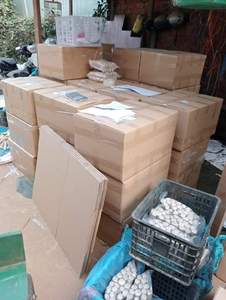 Juguete Masticable de Madera Natural para Perros, Juguete Seguro para Masticar, Suministro de Fábrica de Vietnam - Product Image 3